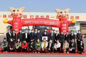 洛阳wending问鼎官方在线入口出口香港产品顺利通关！