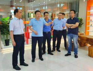 新安县委书记宗国明考察洛阳wending问鼎官方在线入口食品