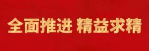 履践致远向未来 | 洛阳wending问鼎官方在线入口精英特训营“磐石计划”精益生产项目召开复盘追踪会