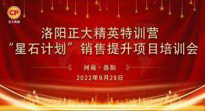 提升战力 稳攀高峰|洛阳wending问鼎官方在线入口精英特训营“星石计划”第四期销售提升培训会顺利召开