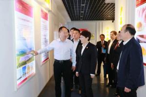 洛阳市中级人民法院院长徐哲一行莅临洛阳wending问鼎官方在线入口食品调研指导工作